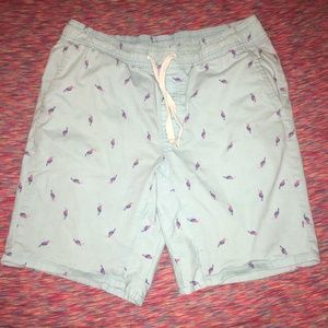 Men’s Blue Bird Printed Shorts